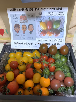 みんなの投稿の画像