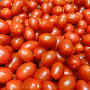 【訳あり特価‼️送料込】熊本県産 ヘタなしアイコ