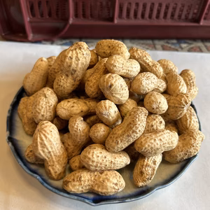 止まらない美味しさ生落花生おおまさり　50分塩茹でしてお召し上がりください