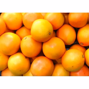 高糖度 小玉 小粒 減農薬 甘い うまい 安いの有田みかん  早生　ss