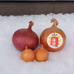 【福袋2026】玉ねぎ＋おまけ付き！50箱限定　北海道富良野産
