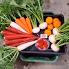 季節の野菜詰め合わせ　