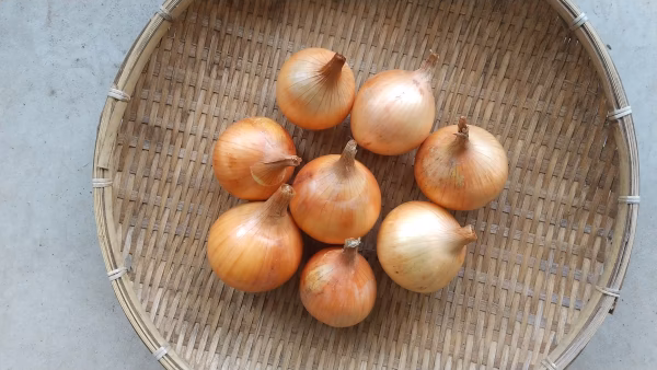 玉ねぎと人参セット