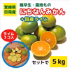 宮崎県産「にちなんみかん」と「国産ライム３個」セット(5kg)