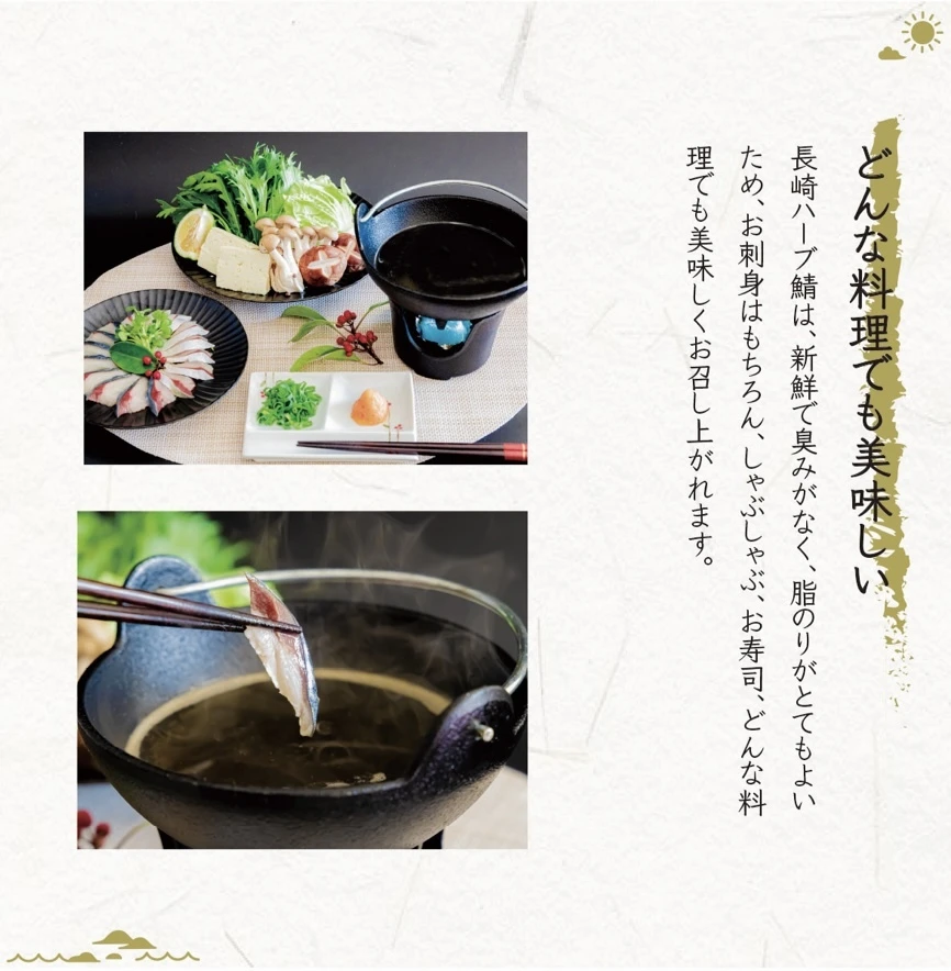 新鮮！締めたての鯖をお刺身にしました！長崎ハーブ鯖刺身(冷凍)