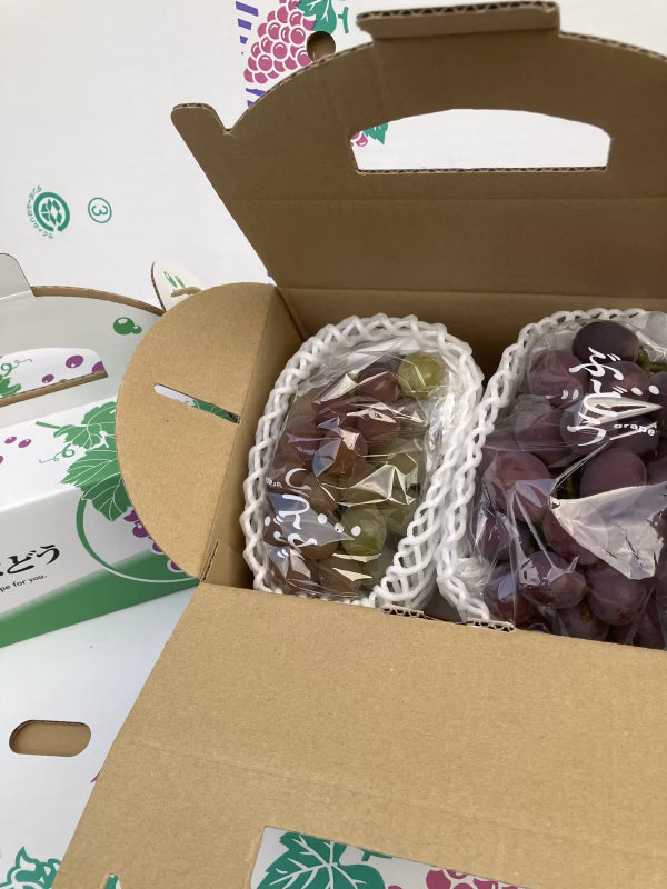 【ぶどう味くらべ2種盛】紅瑞宝•ピオーネ1kg（贈答用取っ手付き）