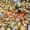 【ポケマル最安値】新玉ねぎ2kg200円✨10kg800円 訳あり 収穫数限り