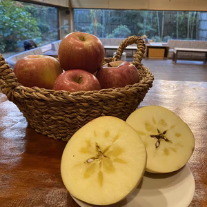 フードロスを減らそう！サンふじ！家庭用　小玉　３kg