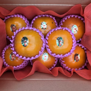 サクサク食感+上品な甘さの柿　太秋柿 家庭用11/15〜お届け日時指定可