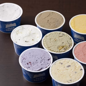 【ご家庭用】ジェラート　自社農場の果物・野菜も【おまかせ１0個セット】