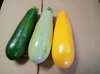ズッキーニ
