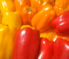 【今からが旬！】栄養価が高いカラーピーマン（1kg）