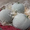 【贈答用】山梨からの贈り物 和ふうるメロン（熨斗対応可）