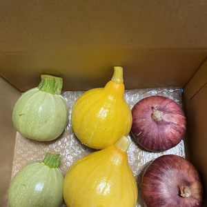 コリンキー、丸ズッキーニ、レッドオニオンの2個ずつセット（栽培期間中無農薬）