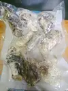 採れたて厳選冷凍牡蠣(800g×2P)【玄界灘産】【生食用】【紫外線殺菌済】