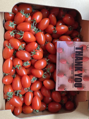 みんなの投稿の画像