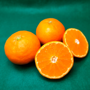 完熟小粒みかん　濃厚、薄皮、甘い、おいしい　小粒みかん