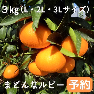 ※予約※【３㎏/L・2L・3L】特選品　まどんなルビー(愛媛果試28号）