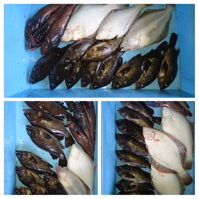 みんなの投稿の画像