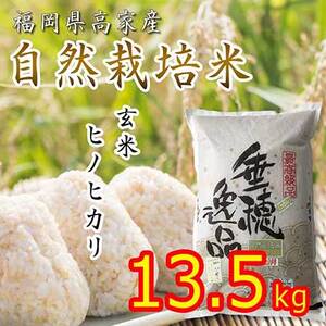 ★新米★【自然栽培米】玄米 13.5kg ヒノヒカリ 福岡県産 令和元年度産米