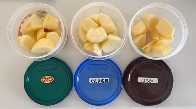 みんなの投稿の画像