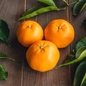 甘さと酸味がやみつき！★はるみ★薄皮ごと食べられる柑橘★