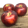 10月発送 りんご 家庭用 秋映 約3キロ 7-15玉 復興支援 