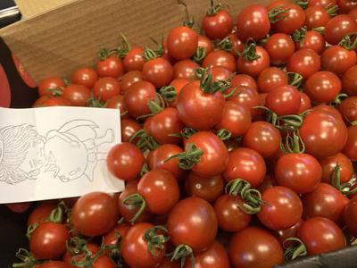 みんなの投稿の画像