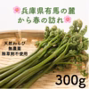 【有馬温泉の麓】兵庫県産 天然 生わらび 山菜 クール便