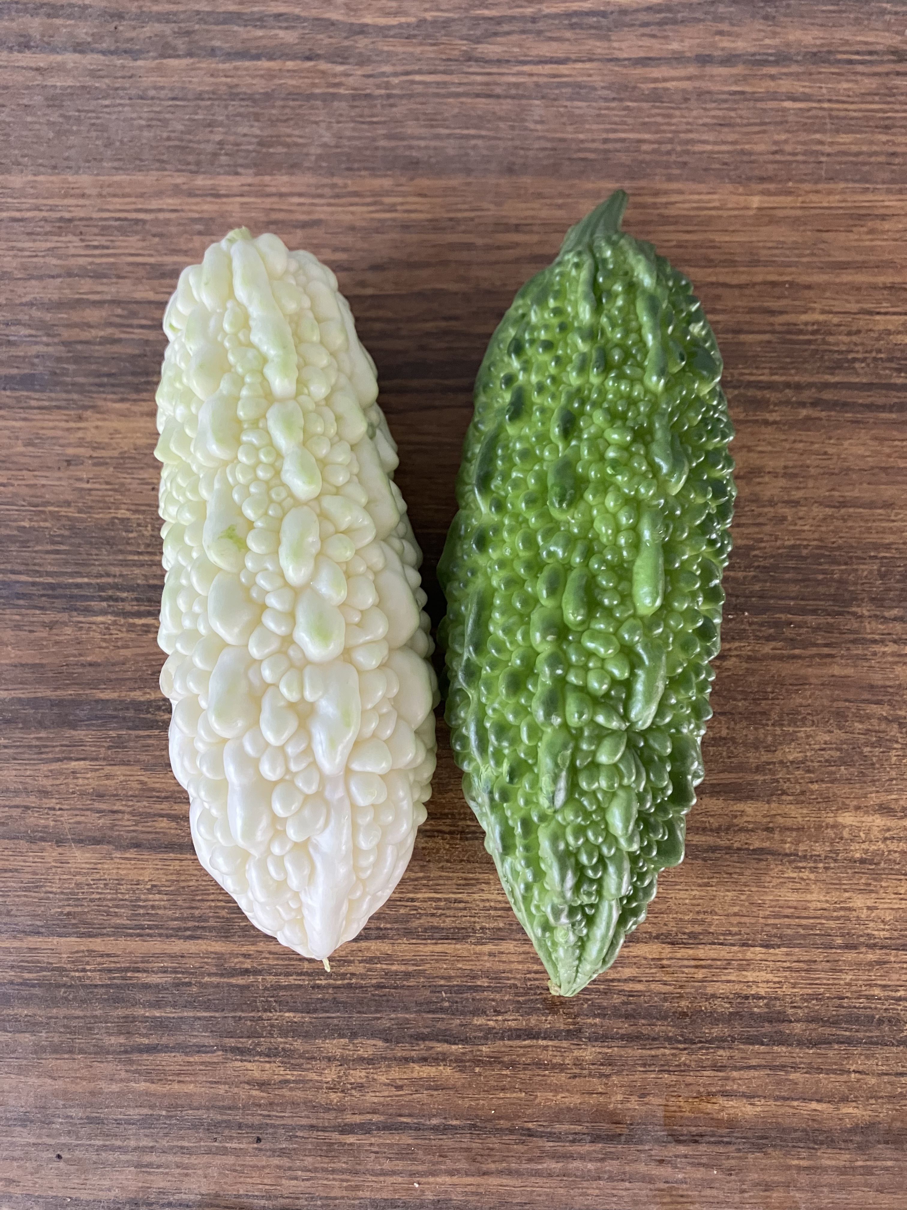 ゴーヤの通販・お取り寄せ商品｜野菜｜ポケットマルシェ｜産地直送で旬