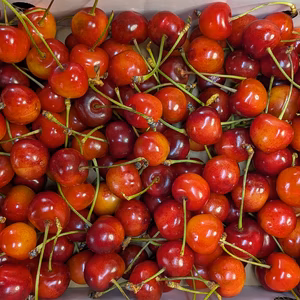 紅秀峰家庭用バラ詰め1kg
