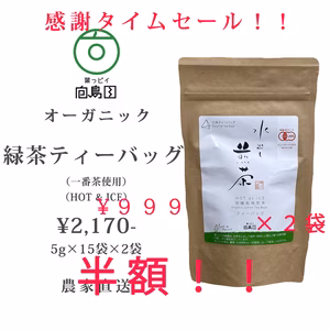 ☆半額タイムセール（数量限定）☆一番茶ティーバッグ５g×１５袋 無添加