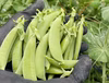 山形県産　新鮮スナップエンドウ　500g（常温配送）
