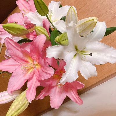 みんなの投稿の画像