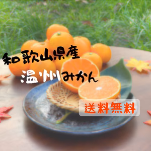 ◎送料無料◎ じゅわ～っと甘酸っぱい 和歌山県産 温州みかん 訳あり ご家庭用