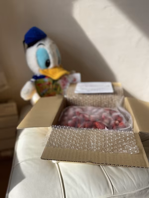 みんなの投稿の画像