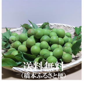 （最終盤）まだまだ青梅（鶯宿）Lサイズ　２㎏　和歌山県産