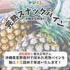 【送料無料】完熟スナックパイン｜沖縄県宜野座村