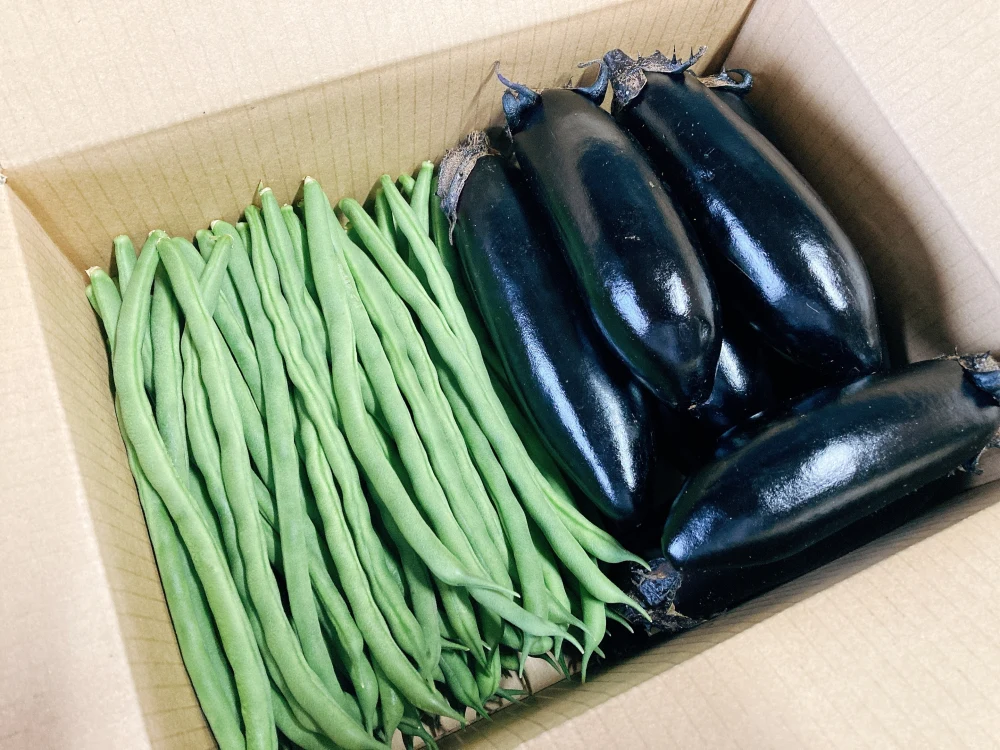 【期間限定セット！】お買い得品 ナスとインゲンのセット (2キロ)