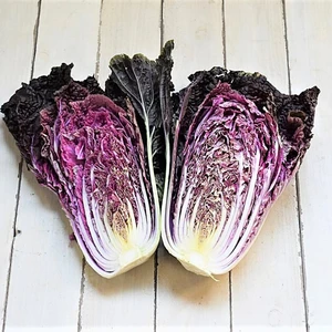 少数限定　紫白菜