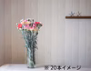 農園直送！採れたて☆新鮮カーネーション20本〜