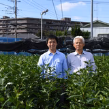 内田輝美 | 狭山茶 ふじみ野 丸康園