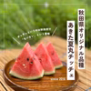 秋田県羽後町産小玉スイカ「秋田夏丸チッチェ」2玉入り