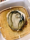超特大岩牡蠣&大入島オイスターセット❗️BBQや贈り物にいかがですか❗️❓