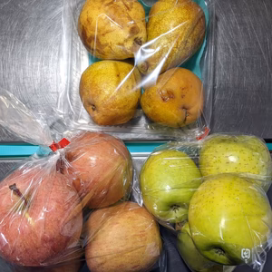 訳ありボックス4.2kg