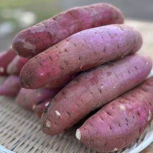 熟成紅はるか　5kg