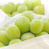 山形県産 甘～いシャインマスカット 大粒５００ｇ～ｘ1房 9月中旬発送