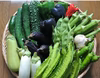 季節のおすすめ！野菜セット～農薬/化学肥料・不使用