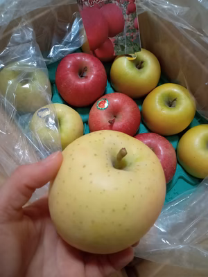 みんなの投稿の画像