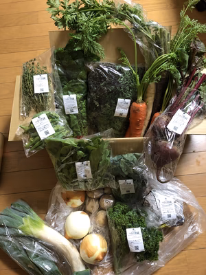 みんなの投稿の画像